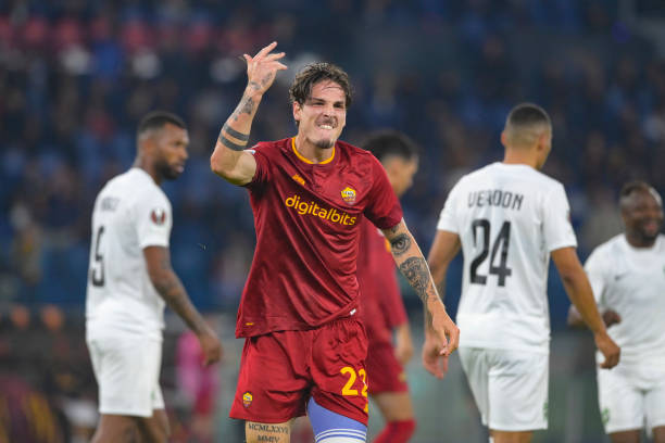 林的指导策 林的指导策