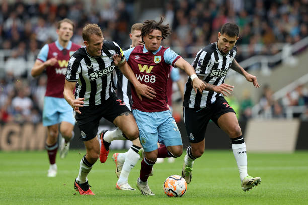 黎态度的松 黎态度的松